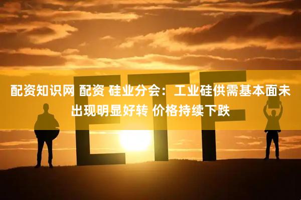 配资知识网 配资 硅业分会：工业硅供需基本面未出现明显好转 价格持续下跌
