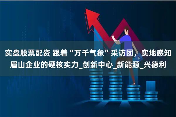实盘股票配资 跟着“万千气象”采访团，实地感知眉山企业的硬核实力_创新中心_新能源_兴德利